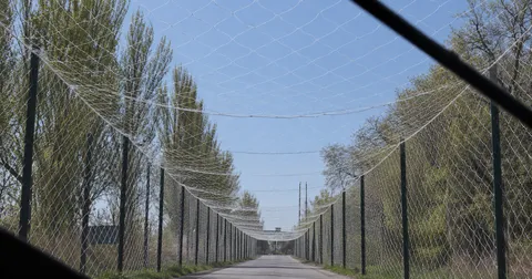 Антидронова сітка (6×6 м) вічко 50 мм, нитка 1,8 мм, біла міцна сітка для захисту техніки та позицій — фото 10