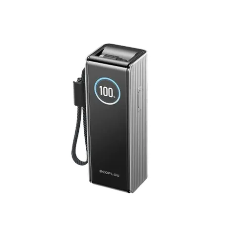 Павербанк EcoFlow RAPID Power Bank з кабелями 25000mAh сріблястий — фото 2