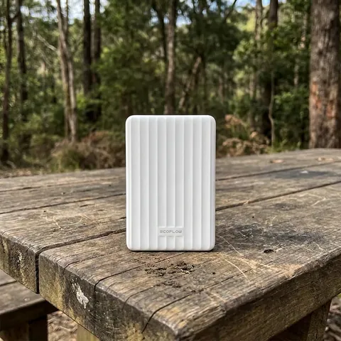Повербанк EcoFlow RAPID Mag Power Bank 5000mAh білий