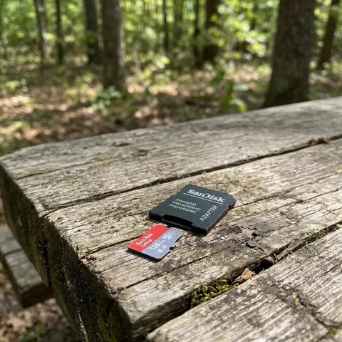Карта пам’яті SanDisk Ultra 128GB microSDXC UHS-I Class 10 + SD адаптер (SDSQUAB-128G-GN6MA)