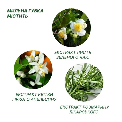 Одноразовий Сухий Душ Estem Comfort (Пінна губка + рушник) — фото 8