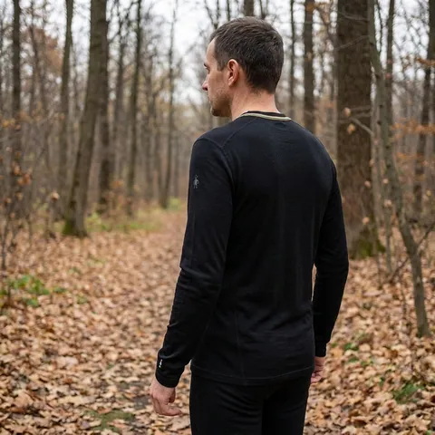 Термокофта чоловіча Smartwool Merino 250 Baselayer Crew Boxed чорна