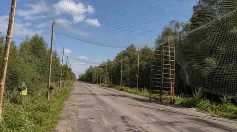 Основа Кікімора, розмір 7×60 м, вічко 20×20 мм, нитка 0,9 мм, хакі — фото 9